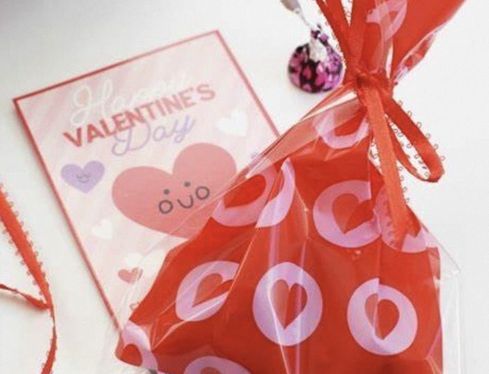 valentine goodie bags for school