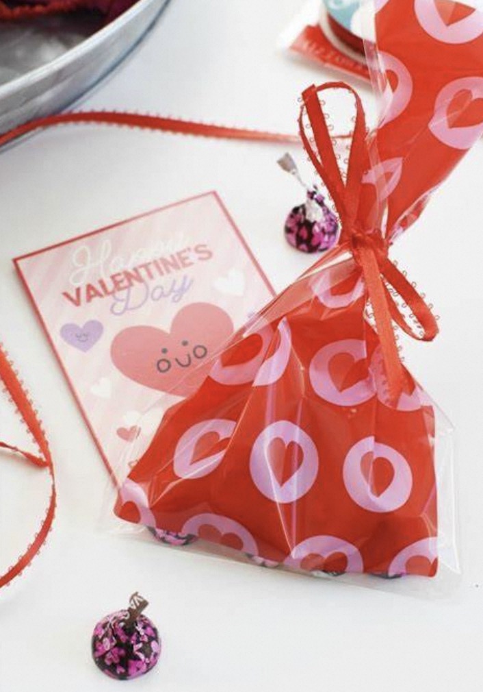 valentine goodie bags for school