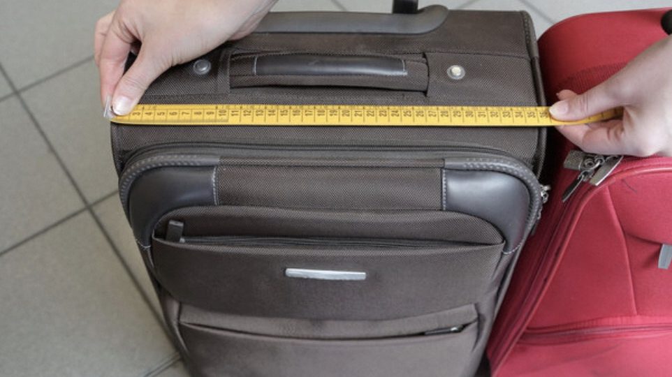 delta carry on luggage size