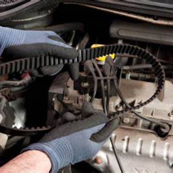 timing belt replacement near me