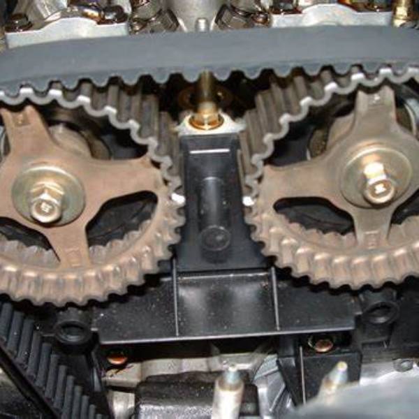 timing belt replacement near me