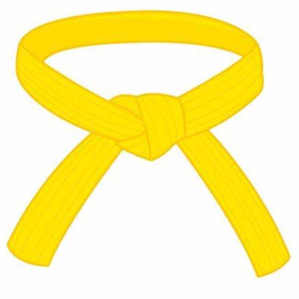 yellow belt lean six sigma